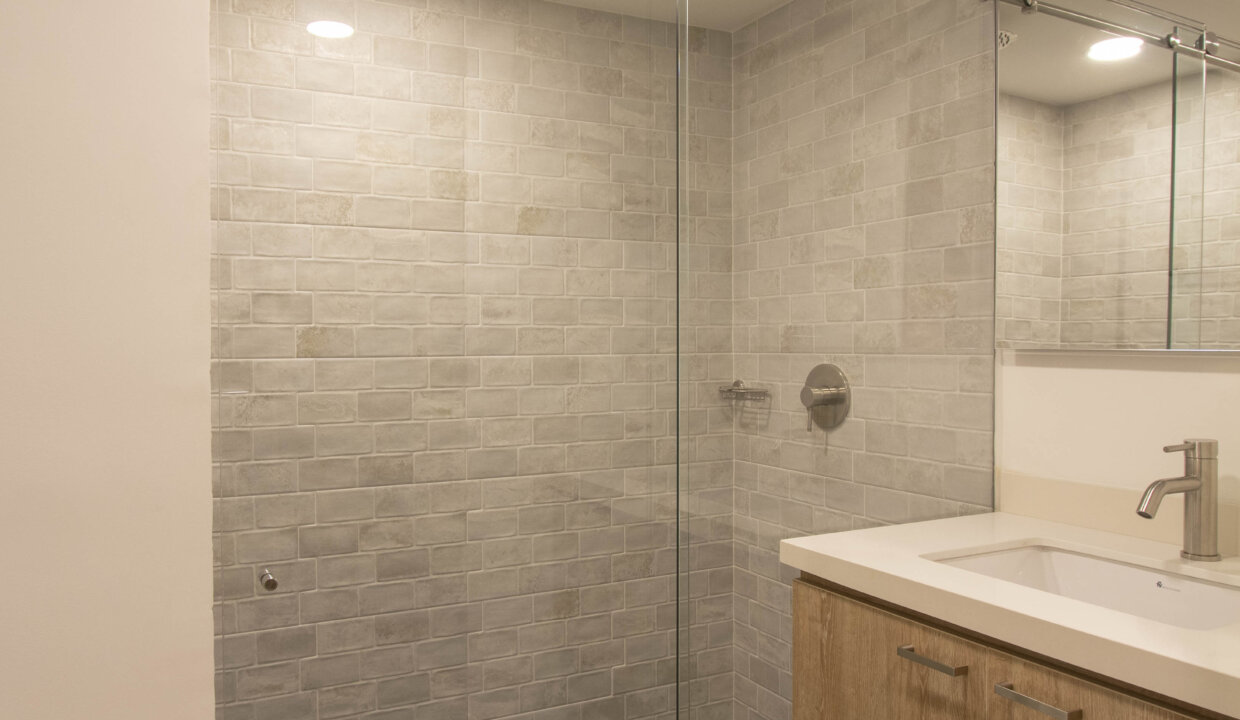 Master bathroom shower